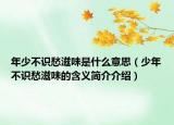 年少不識(shí)愁滋味是什么意思（少年不識(shí)愁滋味的含義簡(jiǎn)介介紹）