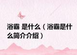 浴霸 是什么（浴霸是什么簡介介紹）