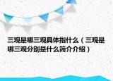 三觀是哪三觀具體指什么（三觀是哪三觀分別是什么簡介介紹）