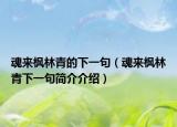 魂來(lái)?xiàng)髁智嗟南乱痪洌ɑ陙?lái)?xiàng)髁智嘞乱痪浜?jiǎn)介介紹）