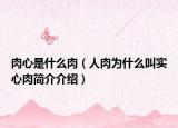 肉心是什么肉（人肉為什么叫實(shí)心肉簡介介紹）