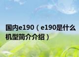國內(nèi)e190（e190是什么機型簡介介紹）