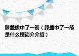 膝蓋像中了一箭（膝蓋中了一箭是什么梗簡介介紹）