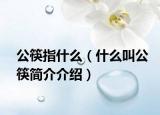 公筷指什么（什么叫公筷簡(jiǎn)介介紹）