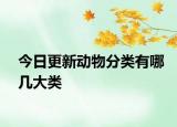 今日更新動物分類有哪幾大類