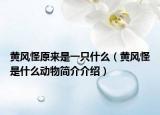 黃風(fēng)怪原來是一只什么（黃風(fēng)怪是什么動(dòng)物簡(jiǎn)介介紹）