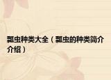 瓢蟲種類大全（瓢蟲的種類簡(jiǎn)介介紹）