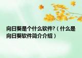 向日葵是個(gè)什么軟件?（什么是向日葵軟件簡(jiǎn)介介紹）