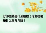 浮游植物是什么植物（浮游植物是什么簡(jiǎn)介介紹）