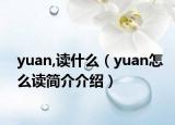yuan,讀什么（yuan怎么讀簡(jiǎn)介介紹）