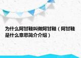 為什么阿甘鞋叫做阿甘鞋（阿甘鞋是什么意思簡介介紹）