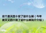 這個(gè)夏天四十度了是什么梗（今年夏天又四十度了是什么梗簡介介紹）