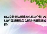 DLL文件無(wú)法刪除怎么解決介紹(DLL文件無(wú)法刪除怎么解決詳細(xì)情況如何)