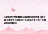 小麥?zhǔn)斋@三部曲是什么(收獲后需注意什么呢介紹 小麥?zhǔn)斋@三部曲是什么 收獲后需注意什么呢詳細(xì)情況如何)