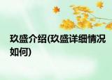 玖盛介紹(玖盛詳細(xì)情況如何)