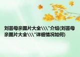 劉蕓母親圖片大全\