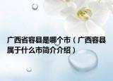 廣西省容縣是哪個(gè)市（廣西容縣屬于什么市簡(jiǎn)介介紹）