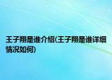 王子翔是誰介紹(王子翔是誰詳細情況如何)