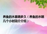 養(yǎng)魚的水暴曬多久（養(yǎng)魚的水曬幾個小時簡介介紹）