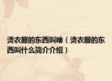 燙衣服的東西叫啥（燙衣服的東西叫什么簡介介紹）