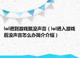 lol進(jìn)到游戲就沒聲音（lol進(jìn)入游戲后沒聲音怎么辦簡介介紹）