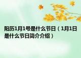 陽歷1月1號是什么節(jié)日（1月1日是什么節(jié)日簡介介紹）