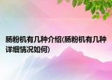 腸粉機(jī)有幾種介紹(腸粉機(jī)有幾種詳細(xì)情況如何)