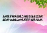 魚(yú)缸里怎樣快速建立硝化系統(tǒng)介紹(魚(yú)缸里怎樣快速建立硝化系統(tǒng)詳細(xì)情況如何)