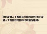 停止發(fā)展人工智能有可能嗎介紹(停止發(fā)展人工智能有可能嗎詳細(xì)情況如何)