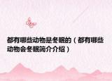 都有哪些動(dòng)物是冬眠的（都有哪些動(dòng)物會冬眠簡介介紹）