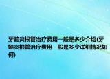 牙髓炎根管治療費用一般是多少介紹(牙髓炎根管治療費用一般是多少詳細(xì)情況如何)