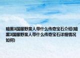 暗黑3國服野蠻人帶什么傳奇寶石介紹(暗黑3國服野蠻人帶什么傳奇寶石詳細(xì)情況如何)