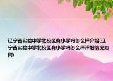 遼寧省實驗中學北校區(qū)有小學嗎怎么樣介紹(遼寧省實驗中學北校區(qū)有小學嗎怎么樣詳細情況如何)