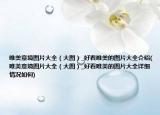 唯美意境圖片大全（大圖）_好看唯美的圖片大全介紹(唯美意境圖片大全（大圖）_好看唯美的圖片大全詳細(xì)情況如何)