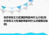 劉亦菲和王力宏演的電影叫什么介紹(劉亦菲和王力宏演的電影叫什么詳細情況如何)