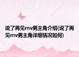 說了再見mv男主角介紹(說了再見mv男主角詳細情況如何)