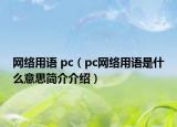 網(wǎng)絡(luò)用語(yǔ) pc（pc網(wǎng)絡(luò)用語(yǔ)是什么意思簡(jiǎn)介介紹）