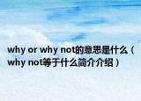 why or why not的意思是什么（why not等于什么簡介介紹）