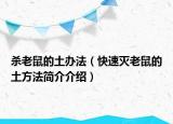 殺老鼠的土辦法（快速滅老鼠的土方法簡(jiǎn)介介紹）