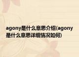 agony是什么意思介紹(agony是什么意思詳細(xì)情況如何)