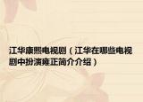 江華康熙電視?。ńA在哪些電視劇中扮演雍正簡(jiǎn)介介紹）