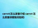 carrot(怎么發(fā)音介紹 carrot 怎么發(fā)音詳細情況如何)