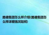 路德集團(tuán)怎么樣介紹(路德集團(tuán)怎么樣詳細(xì)情況如何)