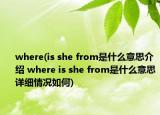 where(is she from是什么意思介紹 where is she from是什么意思詳細(xì)情況如何)