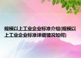 規(guī)模以上工業(yè)企業(yè)標(biāo)準(zhǔn)介紹(規(guī)模以上工業(yè)企業(yè)標(biāo)準(zhǔn)詳細(xì)情況如何)