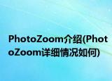 PhotoZoom介紹(PhotoZoom詳細(xì)情況如何)