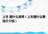 上車 是什么意思（上車是什么梗簡介介紹）