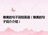 唯美的句子簡短英語（唯美的句子簡介介紹）
