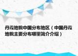 丹霞地貌中國分布地區(qū)（中國丹霞地貌主要分布哪里簡介介紹）