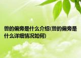 獸的偏旁是什么介紹(獸的偏旁是什么詳細情況如何)